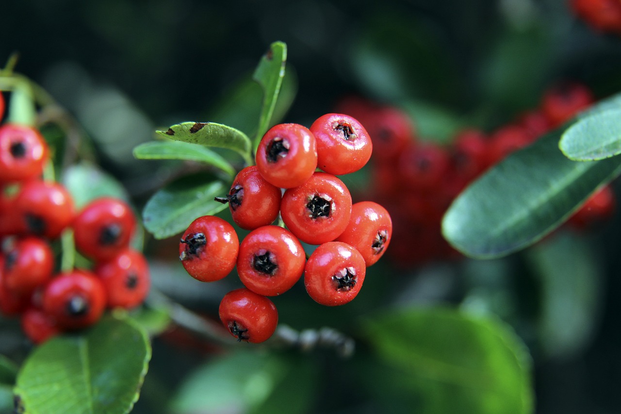 这场大风范