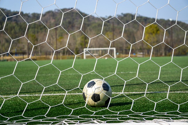 以置信的成 以置信的成