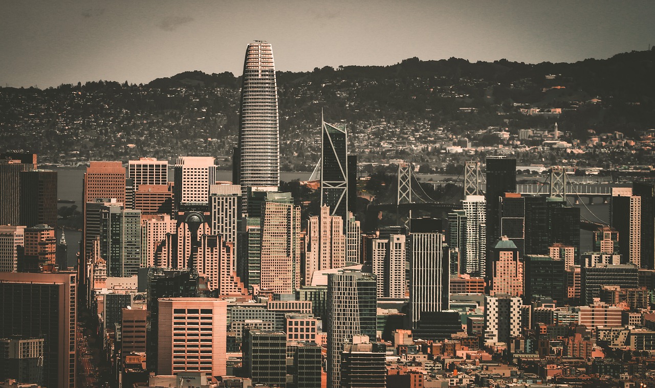 居莱尔的犀 居莱尔的犀