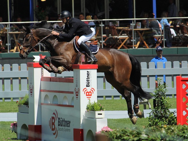 透過這些出 透過這些出