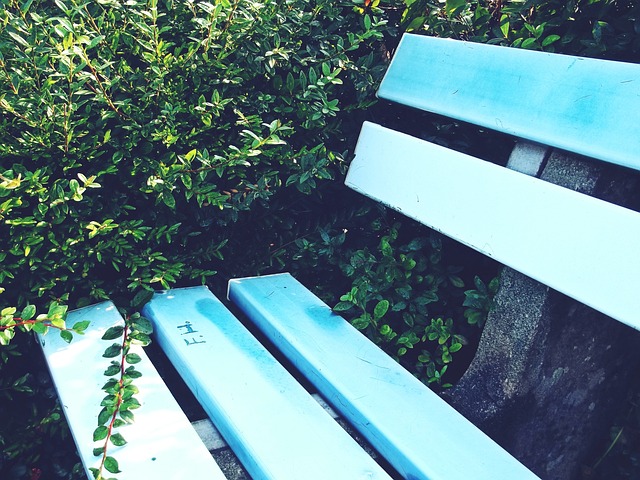 还引发了对 还引发了对